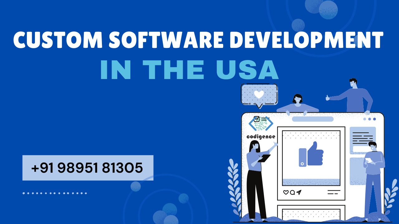 Custom Software Development in the USA