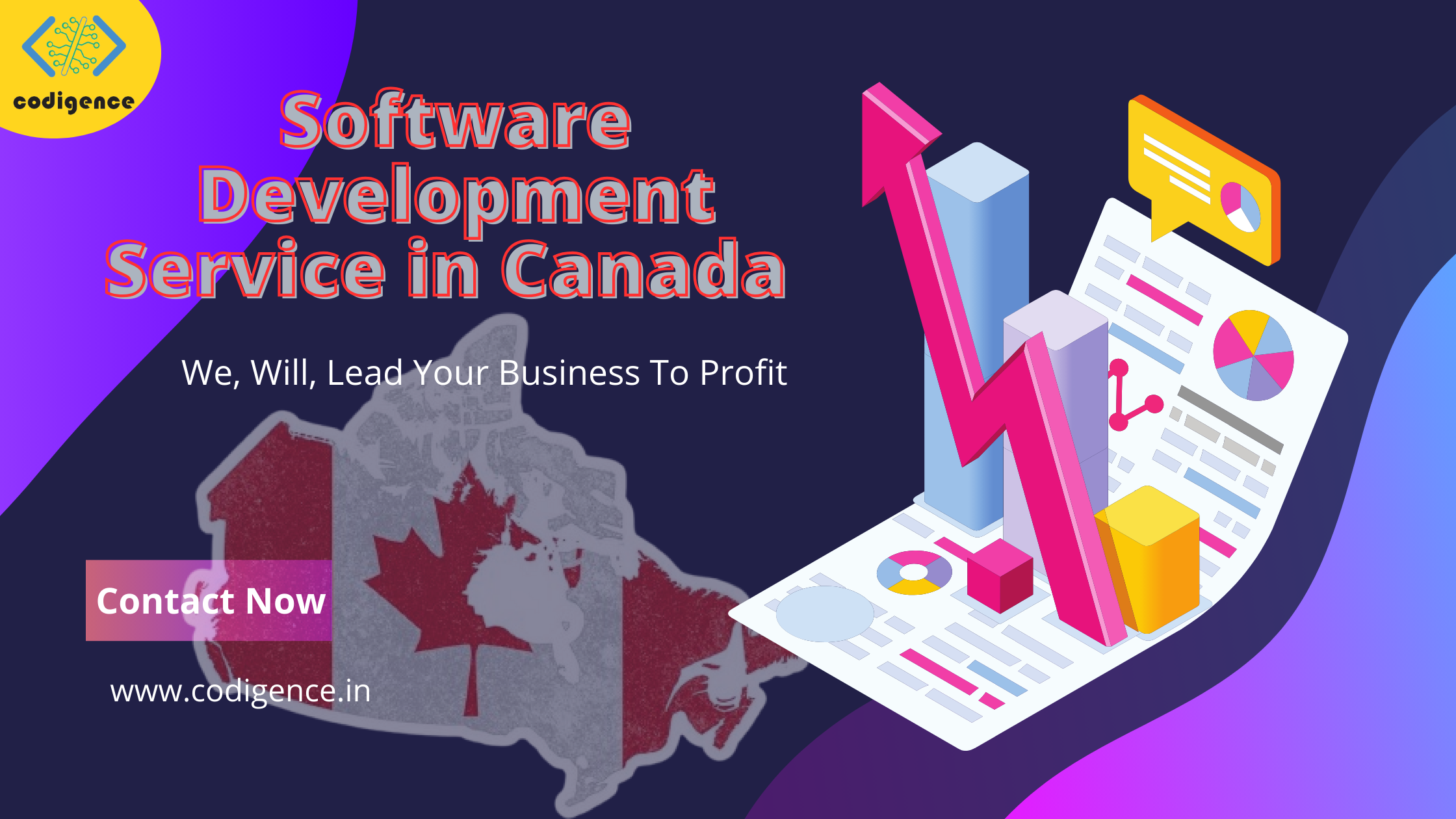 Software Development Service in Canada